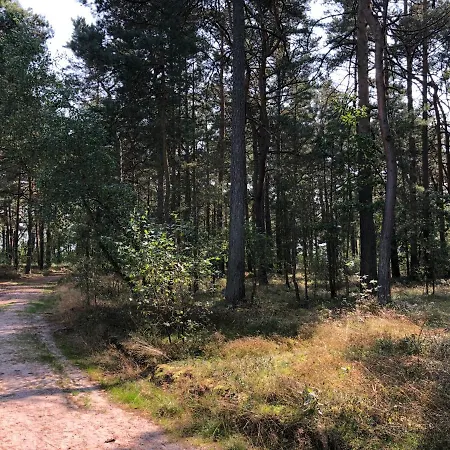 Pod Lasem Ferienhaus