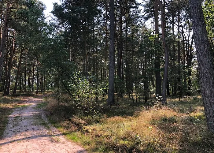 Pod Lasem Vakantiehuis